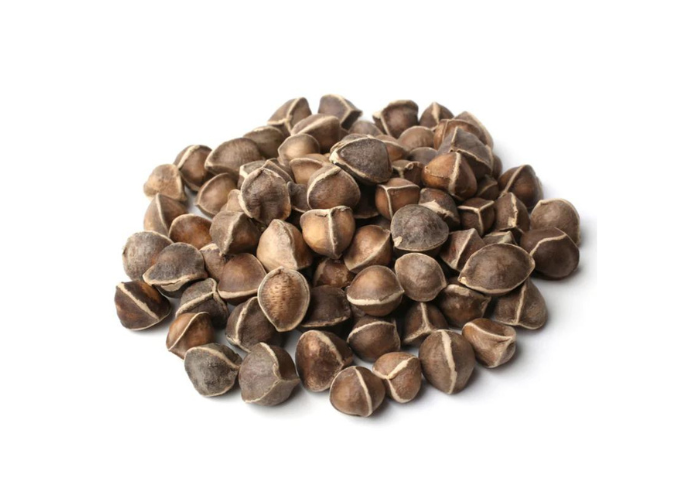 Moringa Seed Oil - Cold Pressed