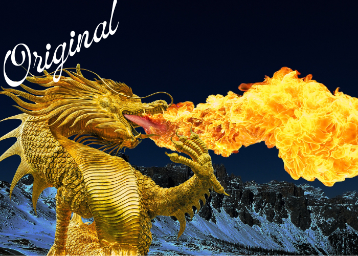 Dragons Blood Fragrance Oil