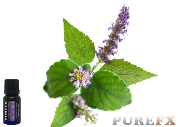 Patchouli Essential oil