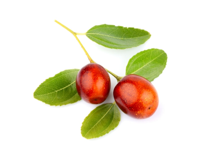 Jojoba Oil - Pure Organic Golden