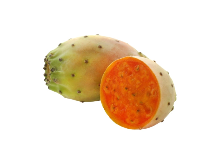 Prickly Pear Seed Oil - Organic