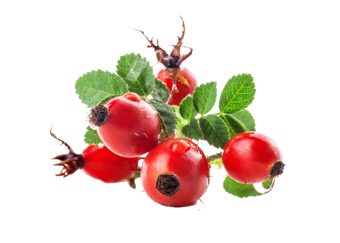 Rosehip Oil - Virgin Organic