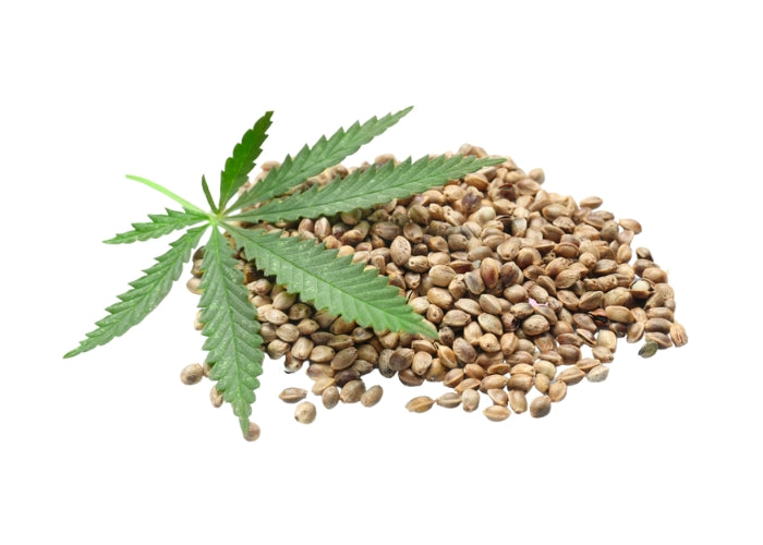 Hemp Seed Oil - Virgin Organic