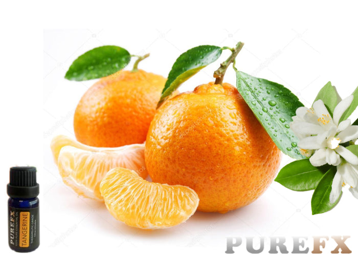 Tangerine Essential Oil 100 Pure. PureFx