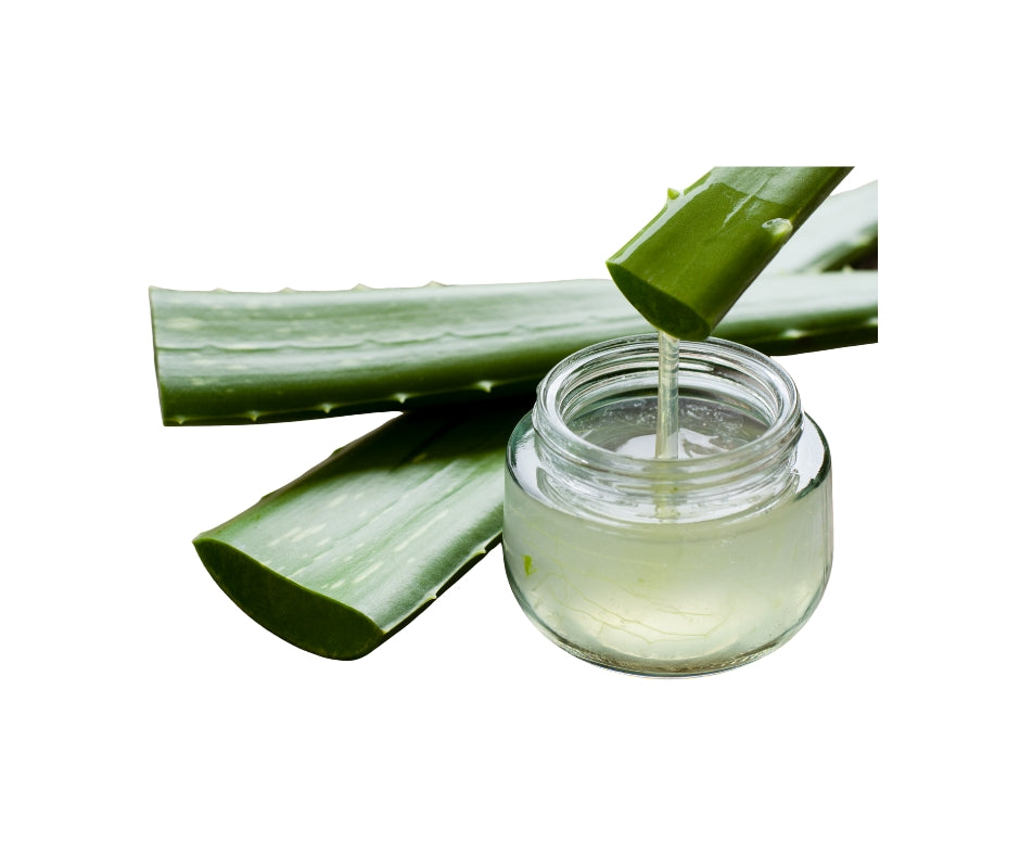 Aloe Vera Gel Natural