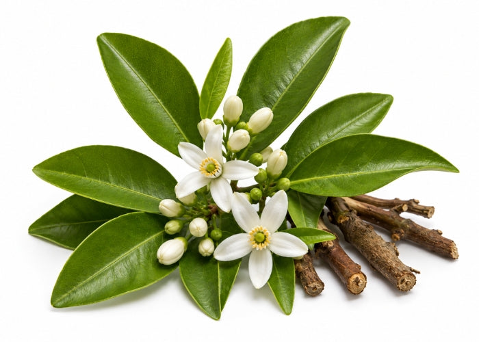 Petitgrain Essential Oil