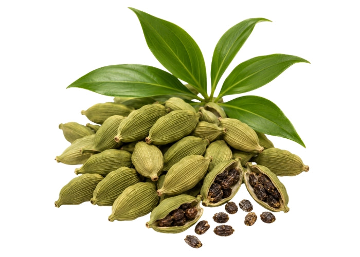 Cardamom Essential Oil