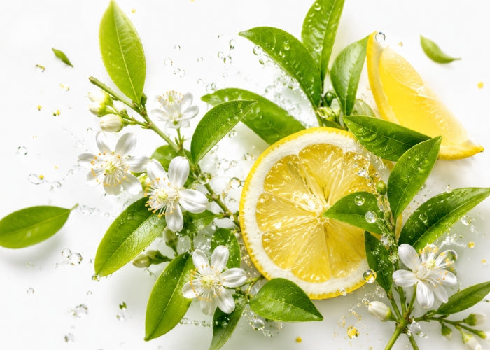 Lemon Myrtle Fragrance Oil
