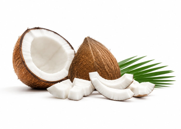 Fractionated Coconut Oil / Organic / Palm Free / MCT Oil