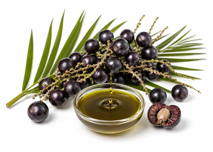 Acai Berry Oil - Organic