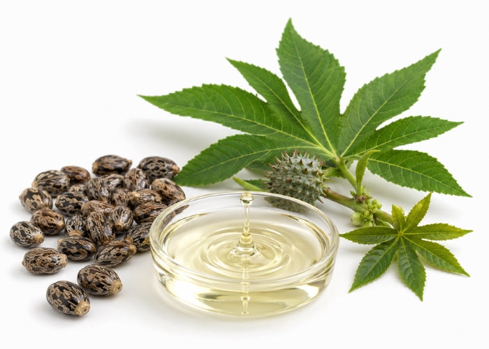 Castor Bean Oil - Hexane Free