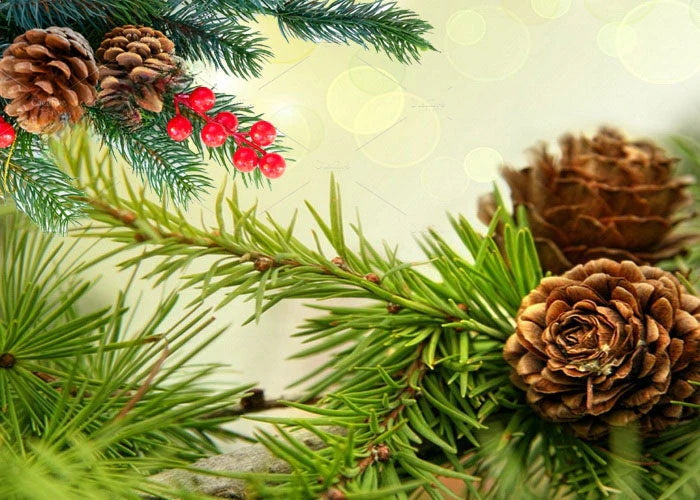 Fresh Pine & Fir Needle Fragrance Oil