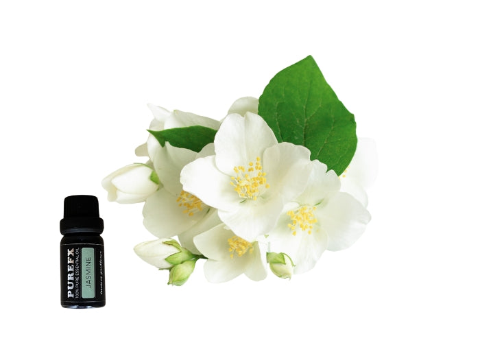 Jasmine Essential Oil