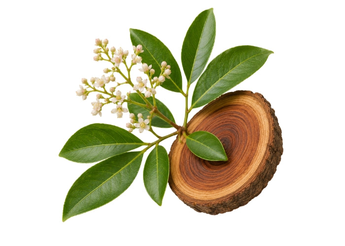 Rosewood Essential Oil