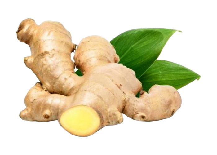Ginger Essential Oil