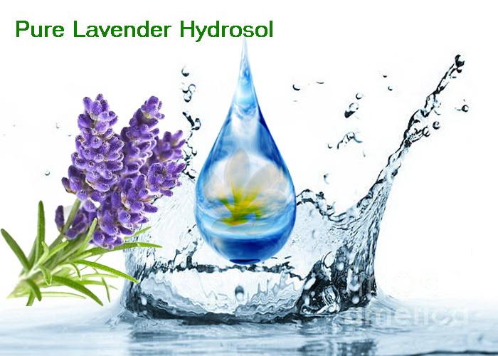 Lavender Hydrosol