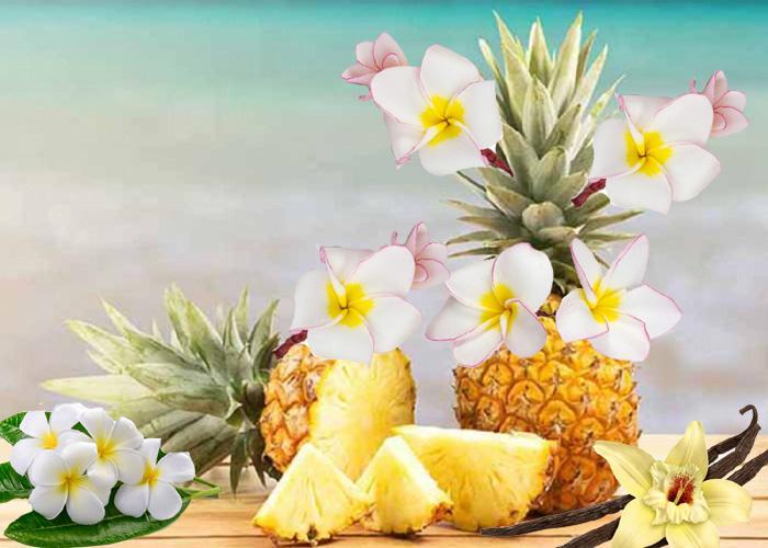 Pineapple&Frangipani_SD0AWJ496ENO.jpg