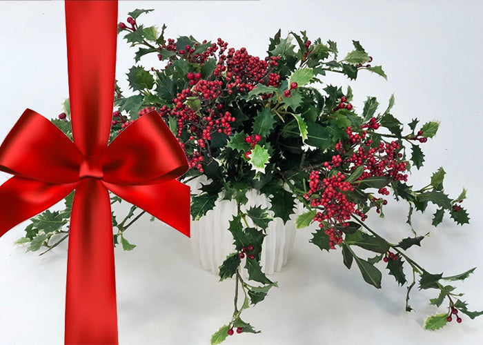 Holly Berry - Fragrance Oil