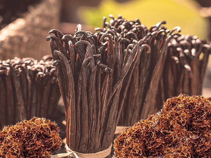 Vanilla & Tobacco Fragrance Oil