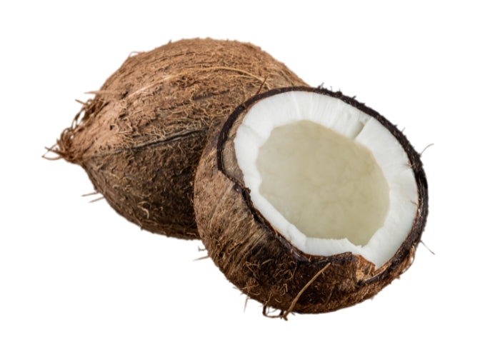 Coconut Oil - Refined