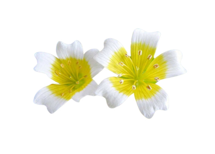 Meadowfoam Oil