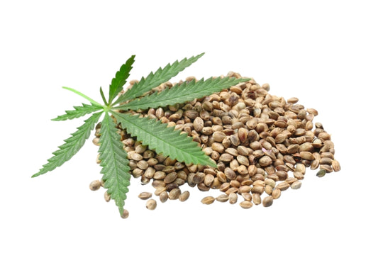 Hemp Seed Oil - Virgin Organic