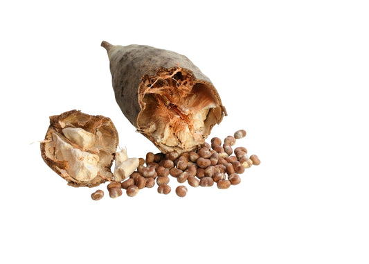 Baobab Oil