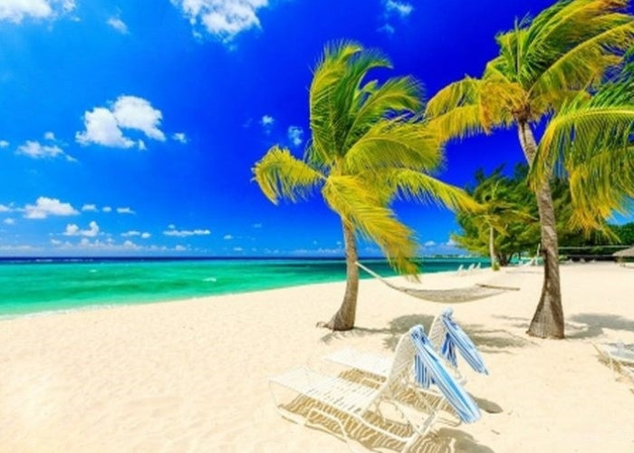 Ocean Breeze Fragrance Oil