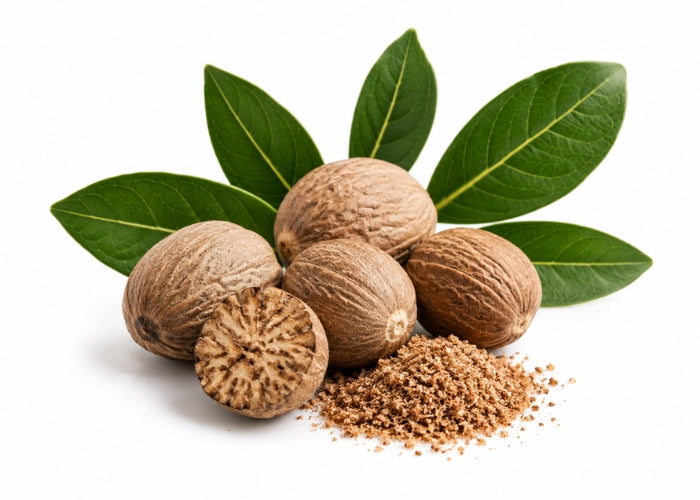 Nutmeg Essential Oil