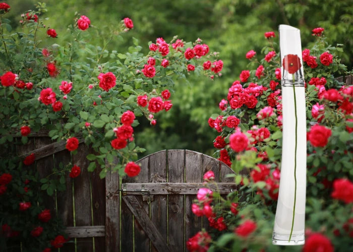 Flower by Kenzo Type Fragrance Oil