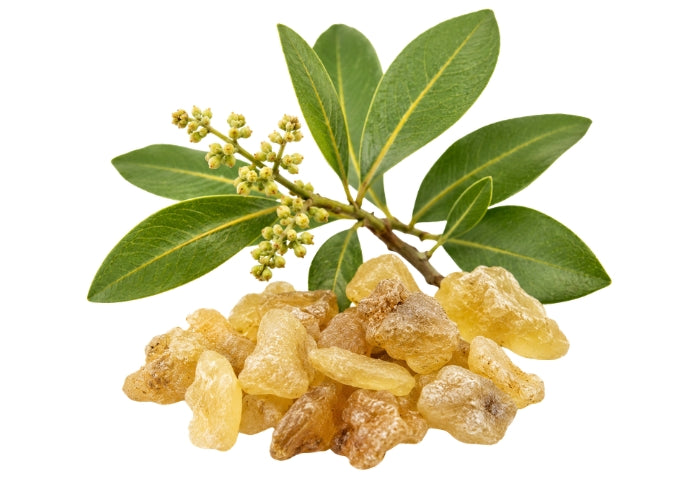 Elemi Essential oil