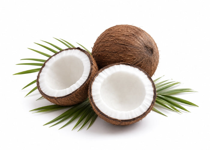 Coconut Oil - Refined