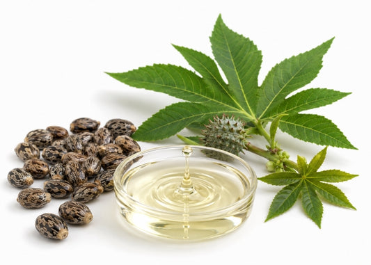 Castor Bean Oil - Hexane Free