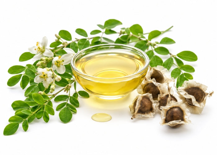 Moringa Seed Oil - Cold Pressed