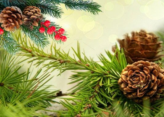 Fresh Pine & Fir Needle Fragrance Oil