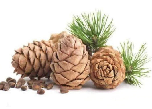 Cedarwood Essential Oil