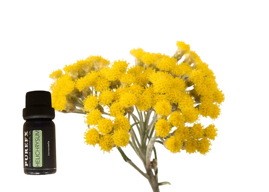 Helichrysum Essential Oil