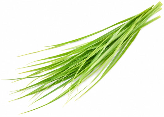 Palmarosa Essential Oil