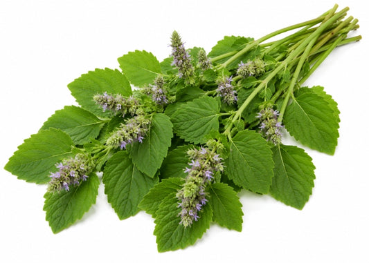Patchouli Essential oil