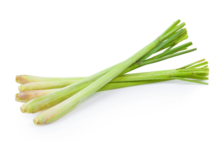 Lemongrass Essential Oil