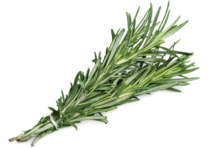 Rosemary Essential Oil
