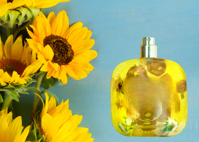 Sunflower Pop Type Fragrance Oil