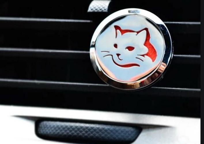 car-diffuser-Cat-2_S6RKFRWNAGET.JPG