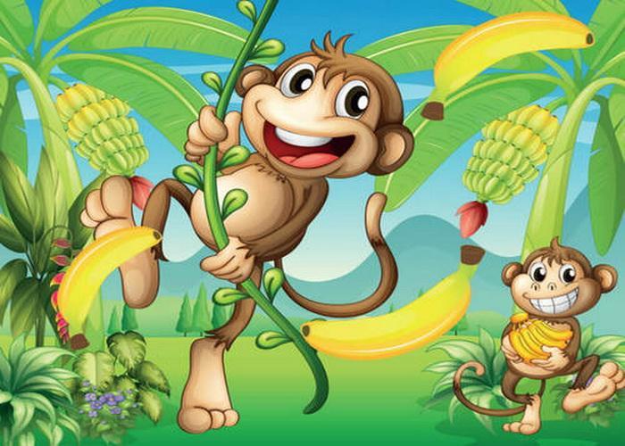 Monkey Farts Fragrance Oil