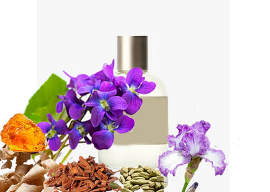 Santal (Type) - Fragrance Oil -