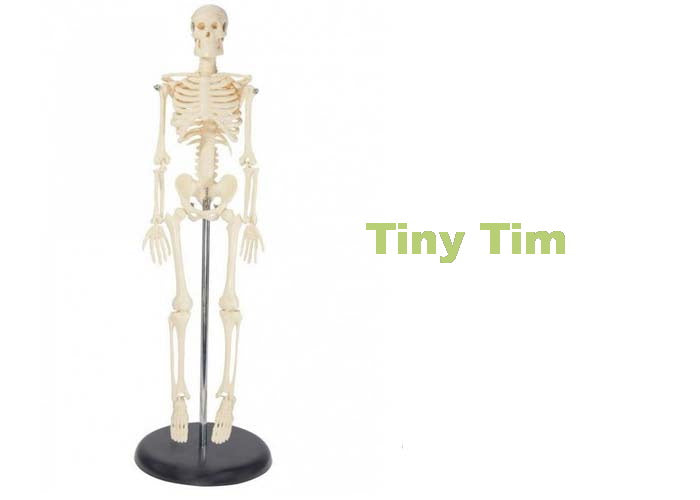 Skeleton 43cm Mr Thrifty. – PureFx